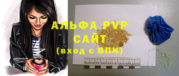 стаф Богородицк