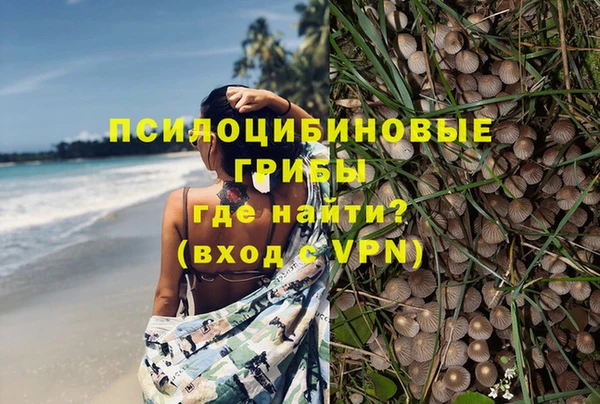 дурь Богородск