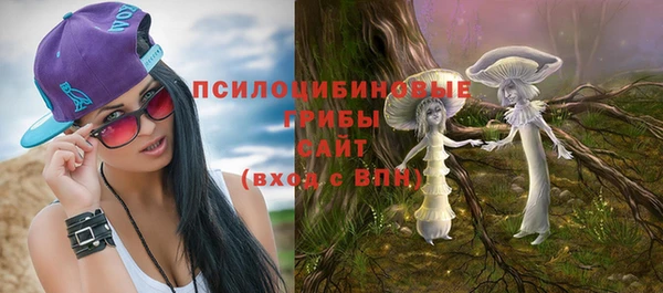 Альфа ПВП Богданович