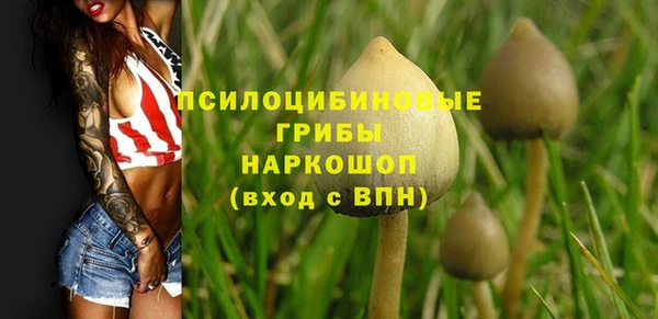 мдпв Бородино